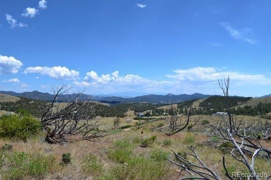 25th Trl, Cotopaxi, CO 81223
