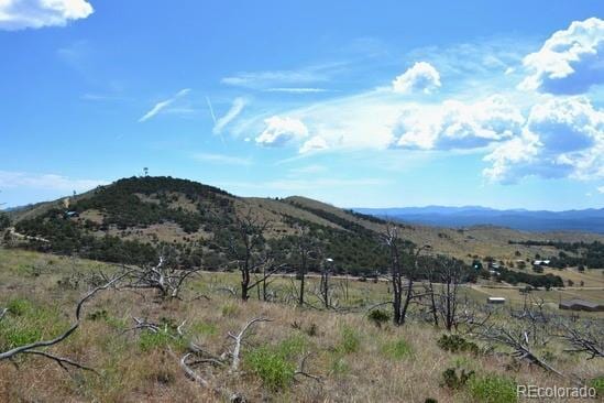 25th Trl, Cotopaxi, CO 81223