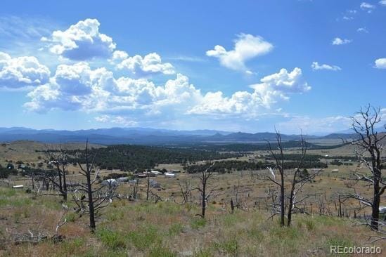 25th Trl, Cotopaxi, CO 81223