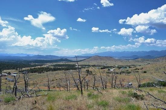 25th Trl, Cotopaxi, CO 81223
