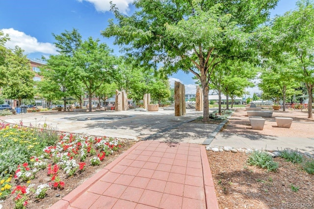 8450 E 29th Ave, Denver, CO 80238 - view of community