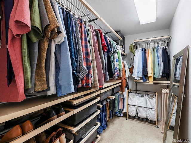 8450 E 29th Ave, Denver, CO 80238 - view of spacious closet