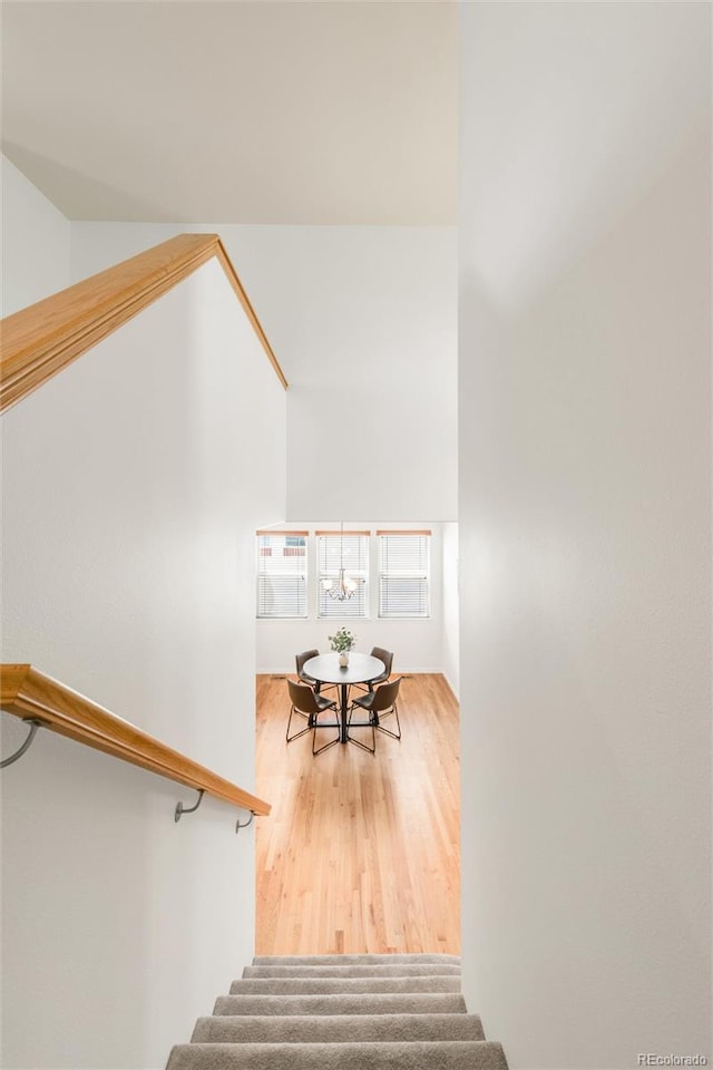6700 W Dorado Dr Unit 41, Littleton, CO 80123 - photo 19