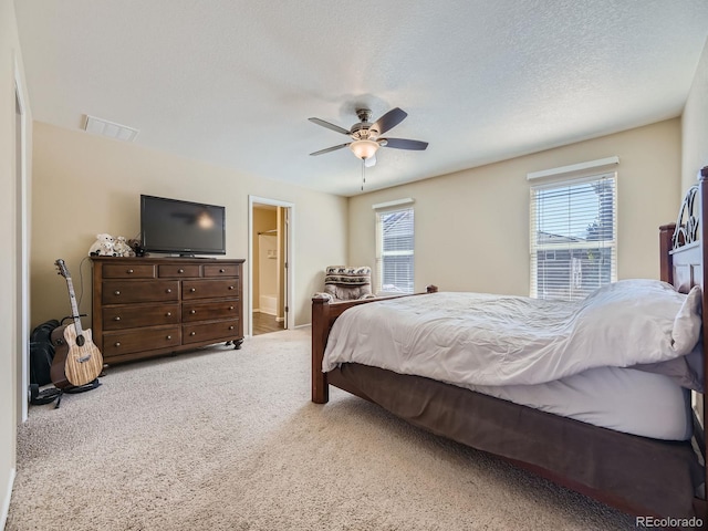 2508 Coach House Loop, Castle Rock, CO 80109 - photo 12