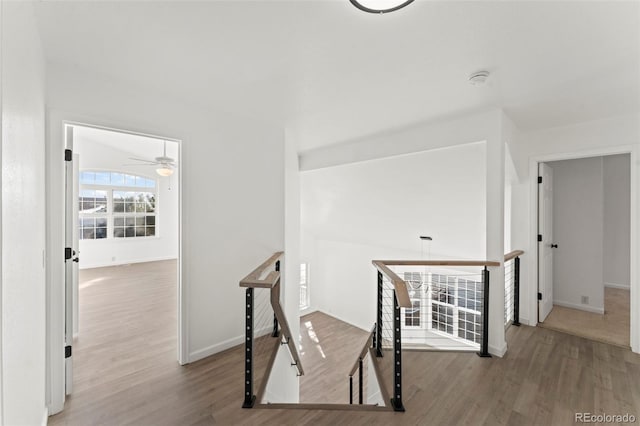 hallway with hardwood / wood-style flooring