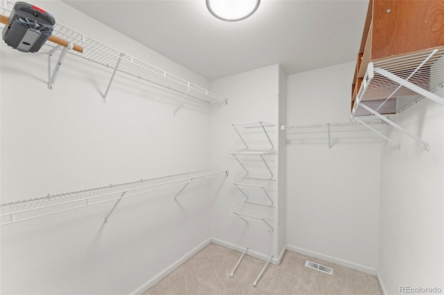 spacious closet with light colored carpet