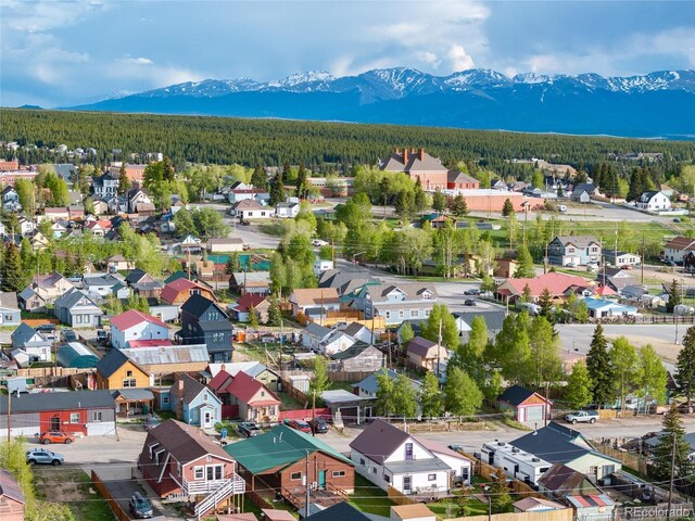118 E 14th St, Leadville, CO 80461 - photo 9