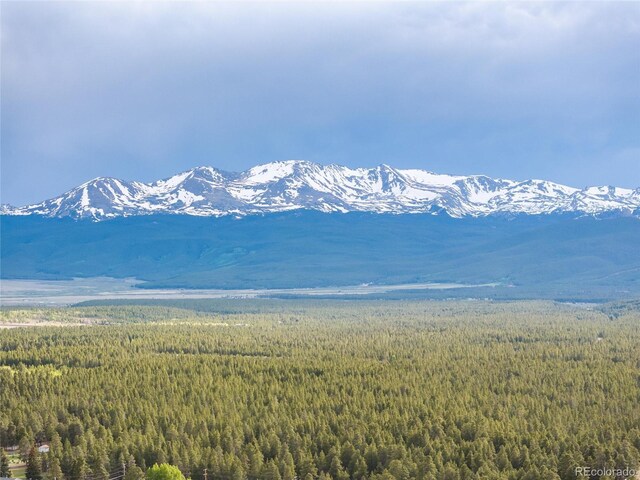 118 E 14th St, Leadville, CO 80461 - photo 10