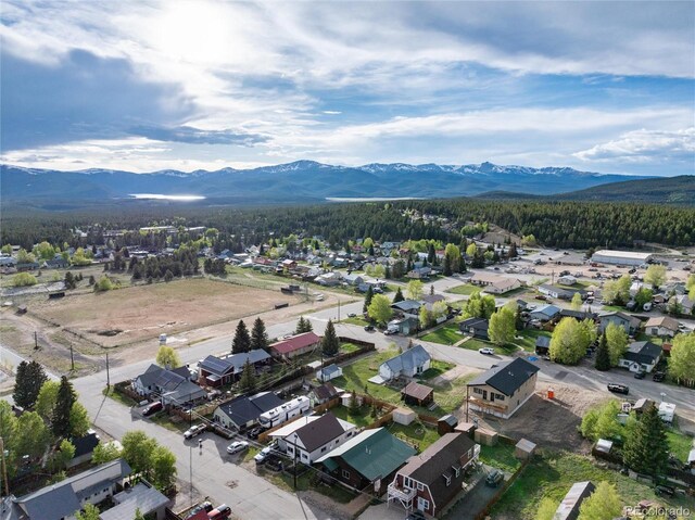 118 E 14th St, Leadville, CO 80461 - photo 28