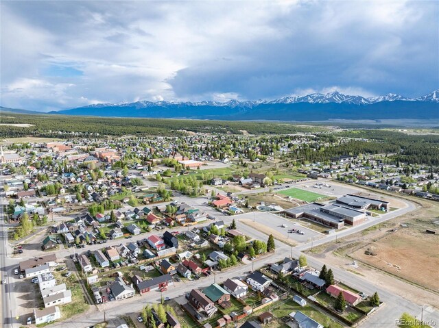 118 E 14th St, Leadville, CO 80461 - photo 32