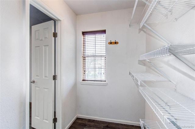 3607 Dinosaur St, Castle Rock, CO 80109 - walk in closet with dark wood-style floors