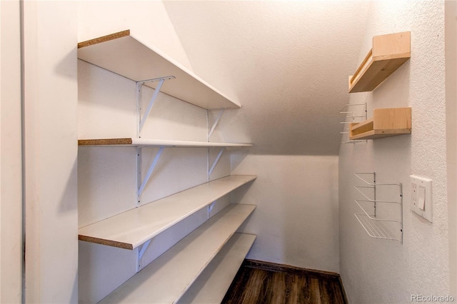 3607 Dinosaur St, Castle Rock, CO 80109 - view of storage