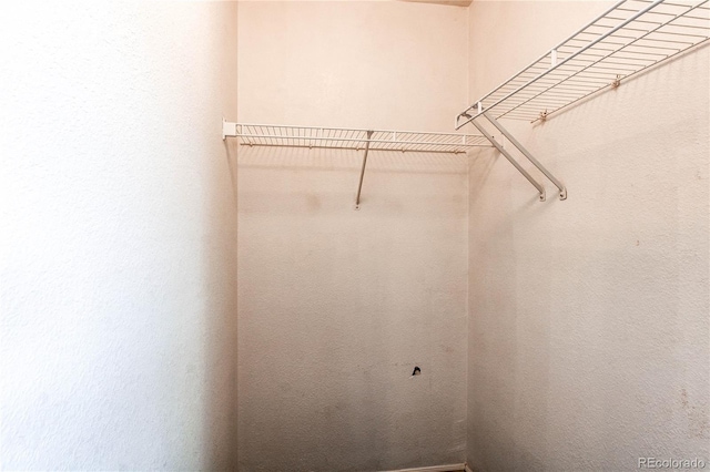 3607 Dinosaur St, Castle Rock, CO 80109 - view of walk in closet