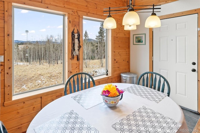 dining room featuring wood walls and a healthy amount of sunlight