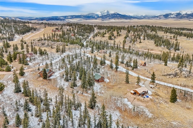 birds eye view of property featuring a mountain view