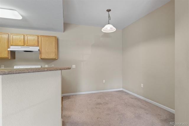 7440 S Blackhawk St Unit 104, Englewood, CO 80112 - kitchen featuring under cabinet range hood, light colored carpet, and hanging light fixtures
