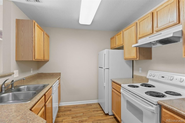 7440 S Blackhawk St Unit 104, Englewood, CO 80112 - kitchen with white appliances, under cabinet range hood, light brown cabinets, light wood-style floors, and light countertops