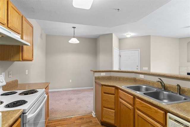 7440 S Blackhawk St Unit 104, Englewood, CO 80112 - kitchen with white appliances, light wood-style floors, hanging light fixtures, under cabinet range hood, and light carpet