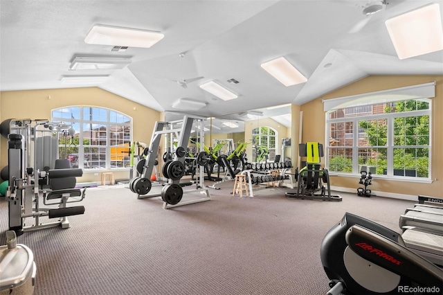 7440 S Blackhawk St Unit 104, Englewood, CO 80112 - gym featuring vaulted ceiling and carpet flooring
