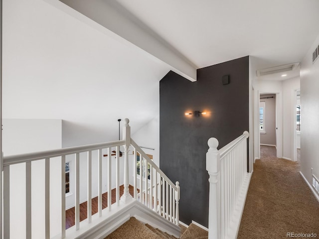 stairway with vaulted ceiling with beams and carpet flooring