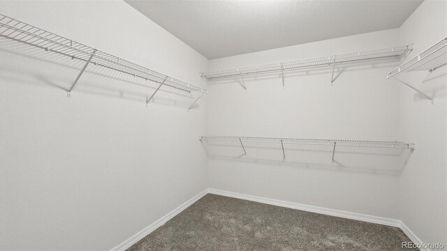 8567 Besson Ct, Colorado Springs, CO 80925 - photo 37