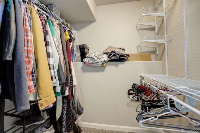 25525 E 1st Ave, Aurora, CO 80018 - view of walk in closet
