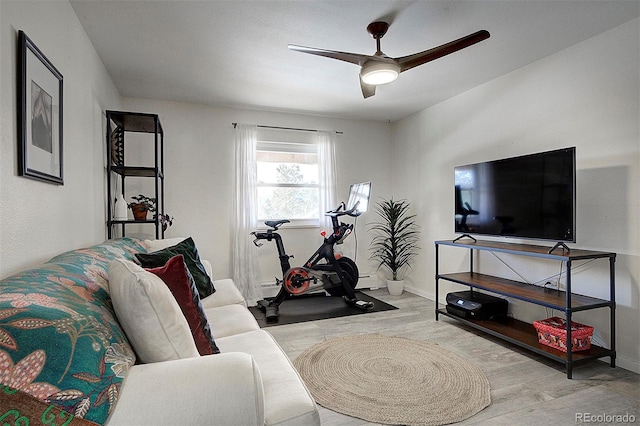 living room with ceiling fan and light wood-type flooring