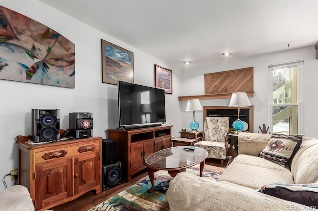 living room featuring wood finished floors