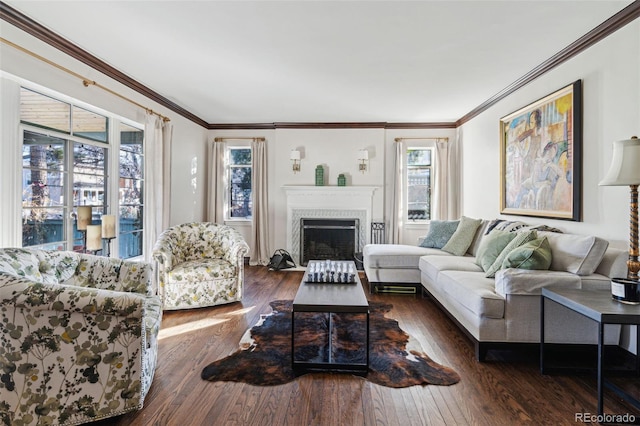 living room featuring dark hardwood / wood-style flooring and ornamental molding