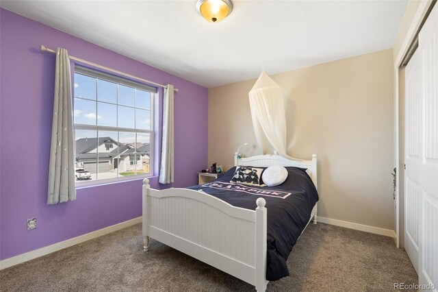 8235 Ryegate Way, Colorado Springs, CO 80908 - bedroom with carpet flooring, baseboards, and a closet