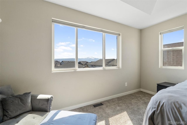 8235 Ryegate Way, Colorado Springs, CO 80908 - bedroom with carpet and baseboards