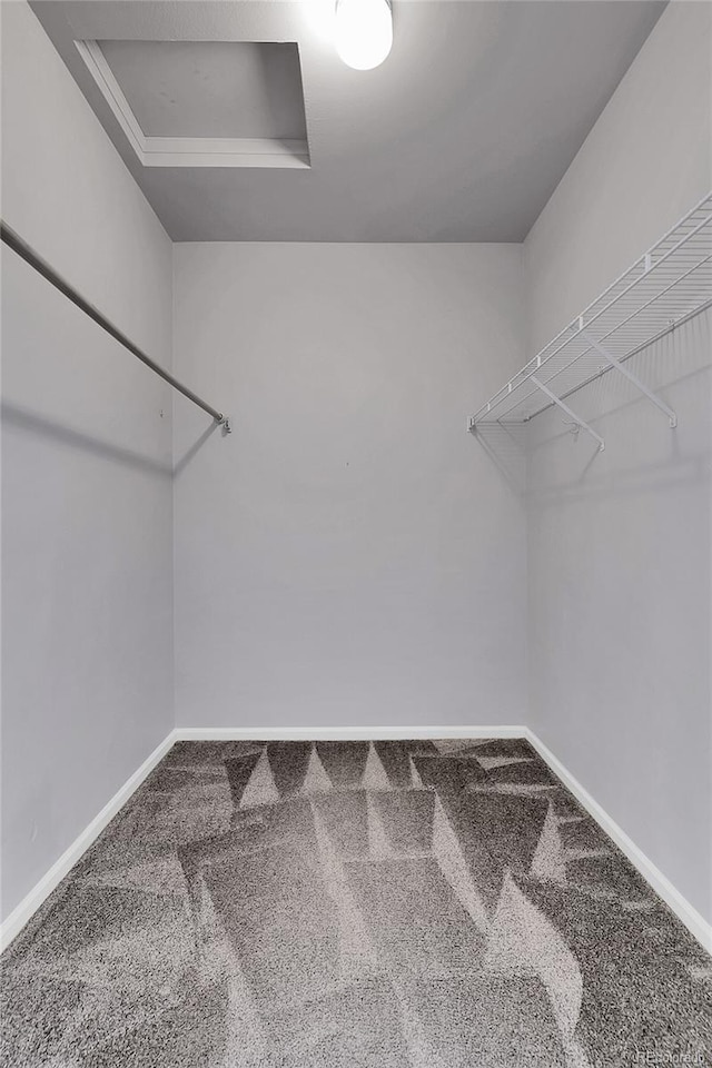 spacious closet with carpet flooring