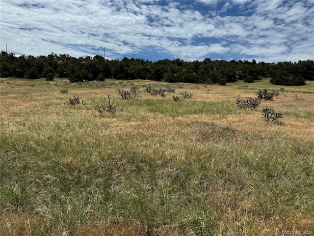 Badger Rd, Walsenburg CO, 81089 land for sale