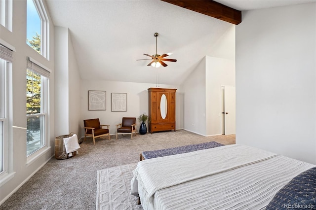 carpeted bedroom featuring beam ceiling, high vaulted ceiling, and ceiling fan