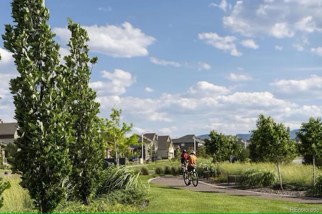 view of property's community featuring a lawn