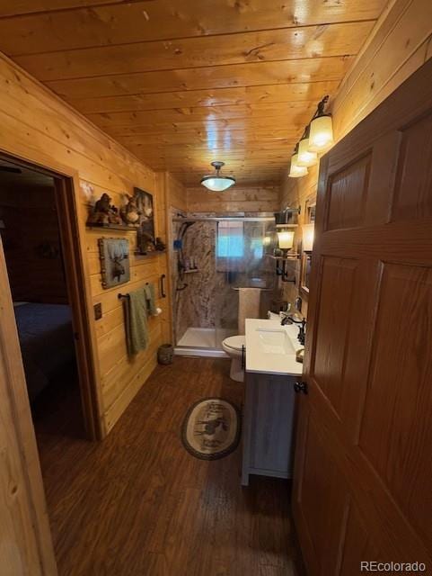 36 Hilltop Dr, Walden, CO 80480 - full bathroom with wood ceiling, vanity, wood walls, wood finished floors, and a shower stall