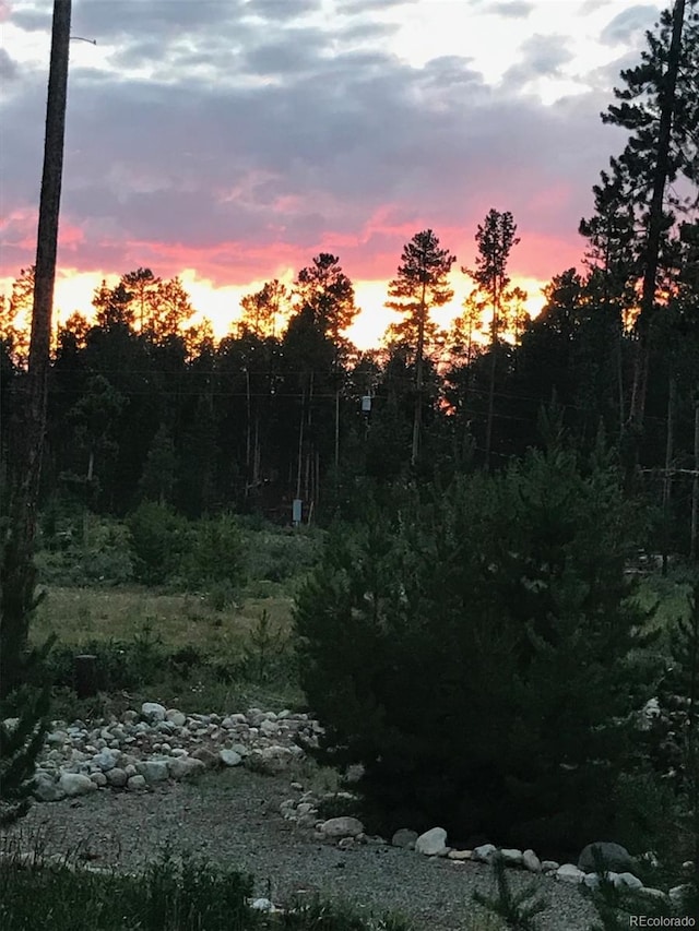36 Hilltop Dr, Walden, CO 80480 - view of undeveloped land