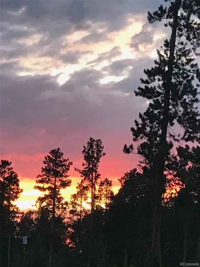36 Hilltop Dr, Walden, CO 80480 - view of nature at dusk