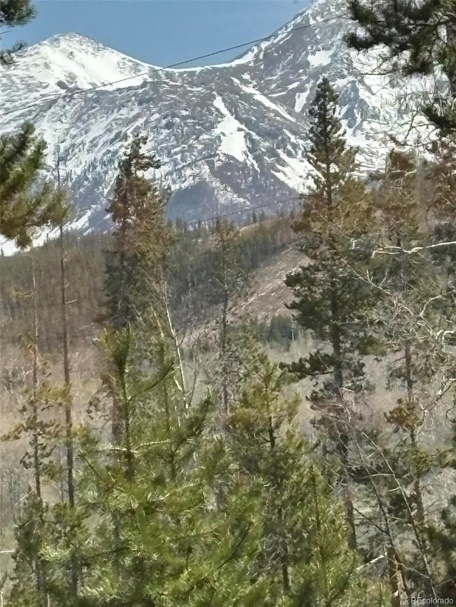 36 Hilltop Dr, Walden, CO 80480 - view of mountain background