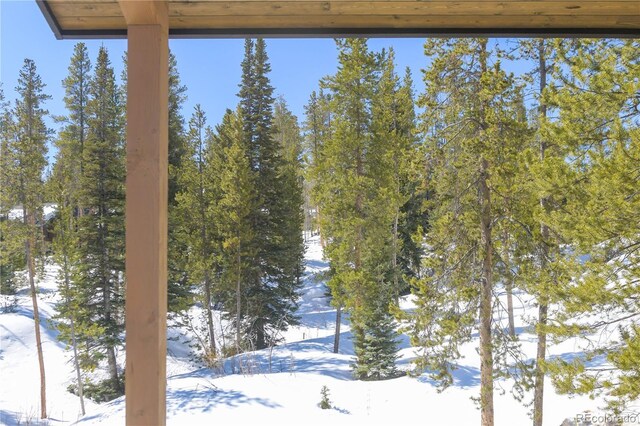 2035 Highlands Dr, Breckenridge, CO 80424 - view of snowy yard