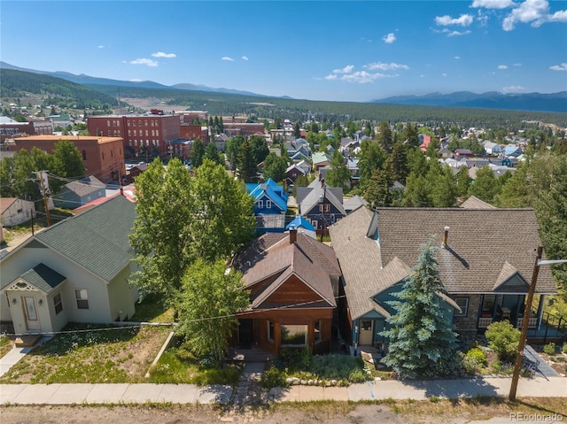 119 W 9th St, Leadville, CO 80461 - photo 33