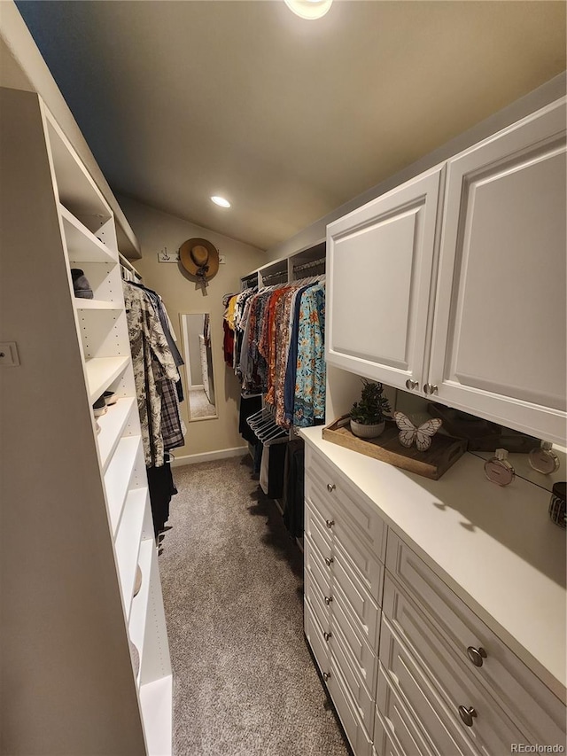 8527 Dove Ridge Way, Parker, CO 80134 - photo 24