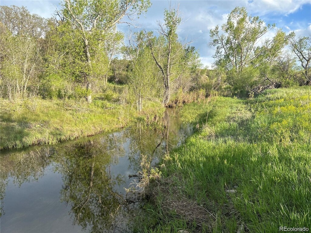 1481 Castlewood Canyon Rd, Franktown, CO 80116 - photo 1
