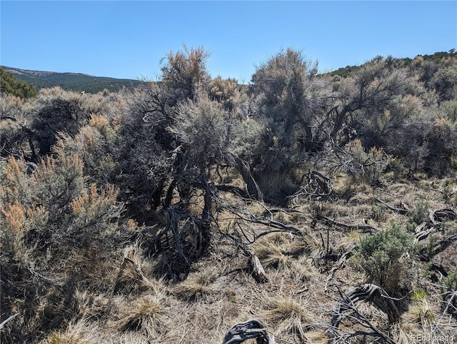 LOT7504 Boseman Ft, Garland, CO 81133
