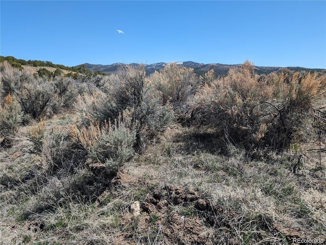 LOT7504 Boseman Ft, Garland, CO 81133