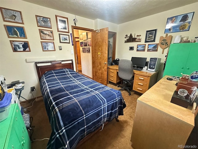 33691 Nova Rd, Pine, CO 80470 - bedroom with carpet, a textured ceiling, and an office area