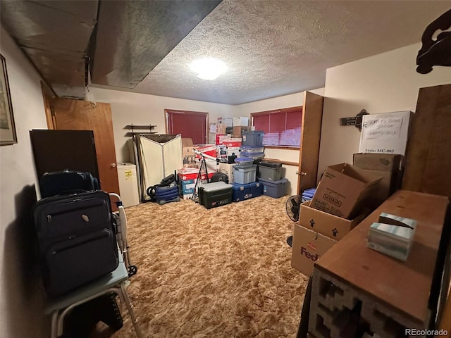 33691 Nova Rd, Pine, CO 80470 - view of storage