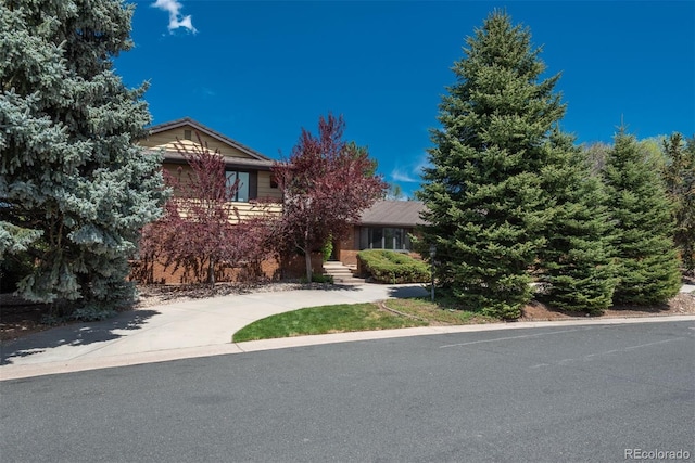view of property hidden behind natural elements with concrete driveway