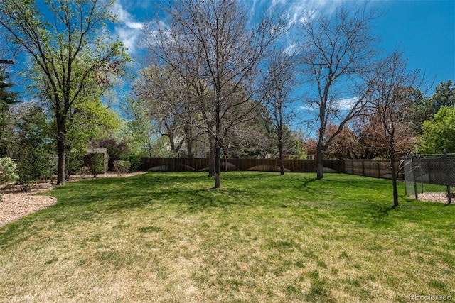view of yard with a fenced backyard