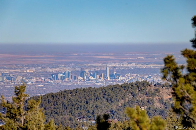 5237 Bear Mountain Dr, Evergreen, CO 80439 - view of city